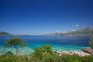 Kalamota Sea View