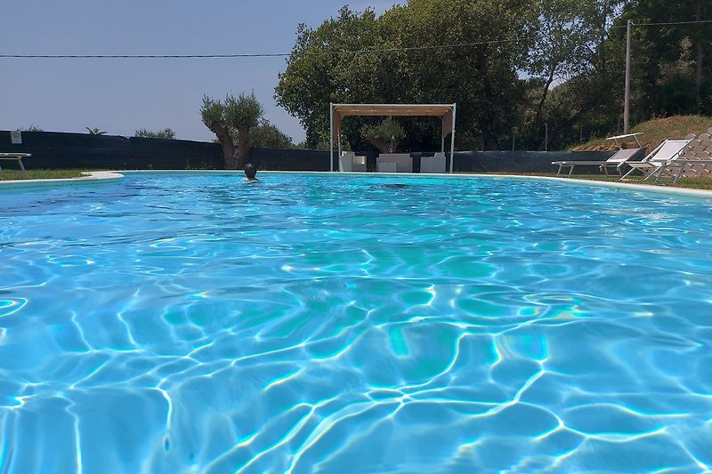Una piscina azzurra circondata da natura e alberi, perfetta per una vacanza rilassante.