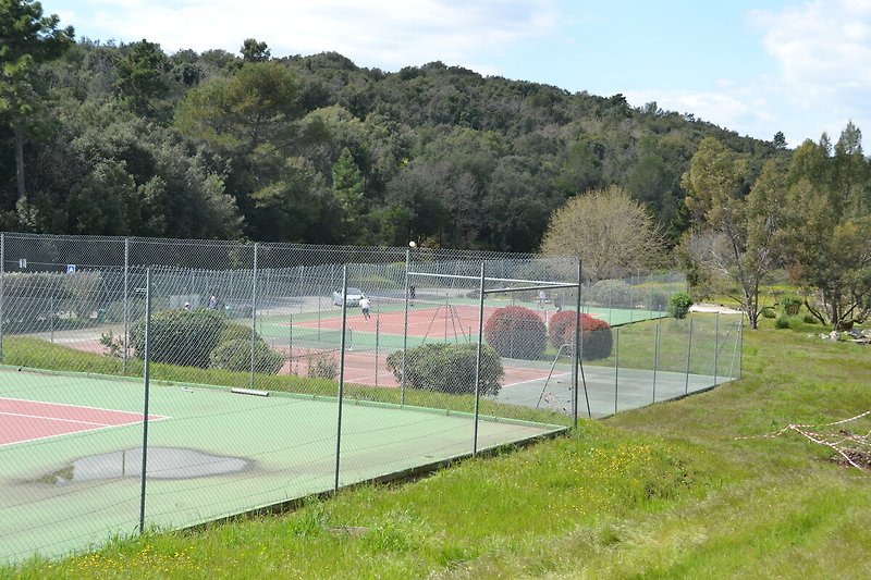 Schöner Tennisplatz mit gepflegtem Rasen und Metallzaun.
