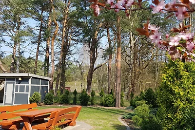 Ferienhaus STOLKOS
