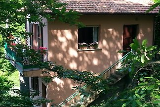 Villa Cillini ( gern auch m.Hund)