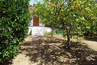 Casa vacanze, 100 metri dal mare