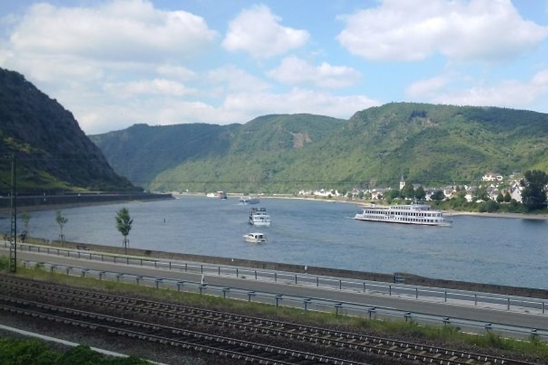 Blick auf den Rhein