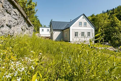 Villa met sauna LDD032