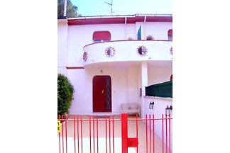 pineta cecina