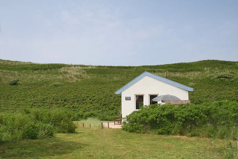 De Mees Callantsoog