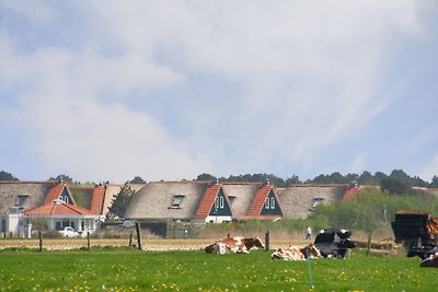 De Buitenplaats Callantsoog