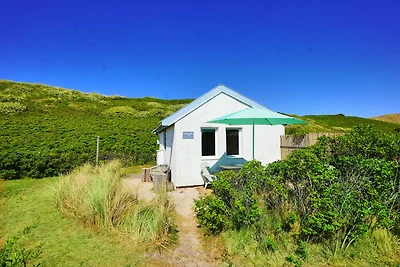 Romantisch huisje in de Duinen 