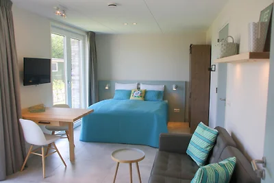 Studio Oog in Callantsoog