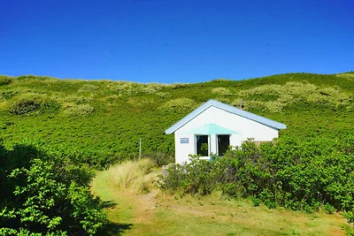 Romantisch huisje in de Duinen 