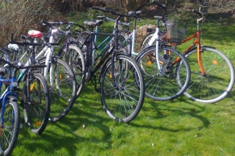 8 Fahrräder zur Verfügung