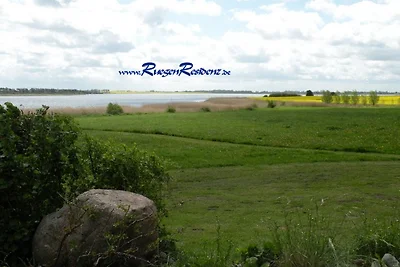 Rügen Reetdachhaus