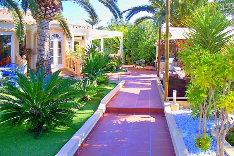 Villa Oasis