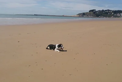 Iznajmljivanje Les Loitiers