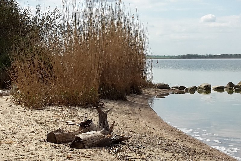 Halbinsel Gnitz/ Insel Usedom- Achterwasser