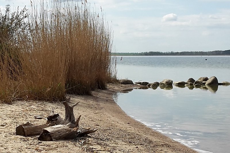 Achterwasser -Halbinsel Gnitz / Insel Usedom