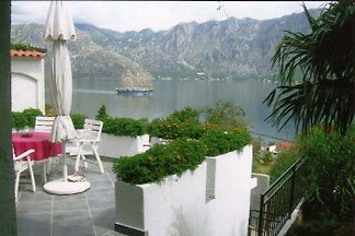 Domek letniskowy Apartment Montenegro