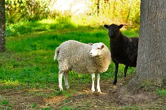 Ferienwohnungen Keim-Müller, Fewo 1