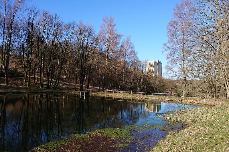 Kurpark Hohegeiß in spring