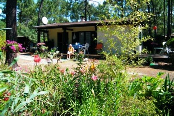 Ferienhaus Grayan-et-l'Hôpital