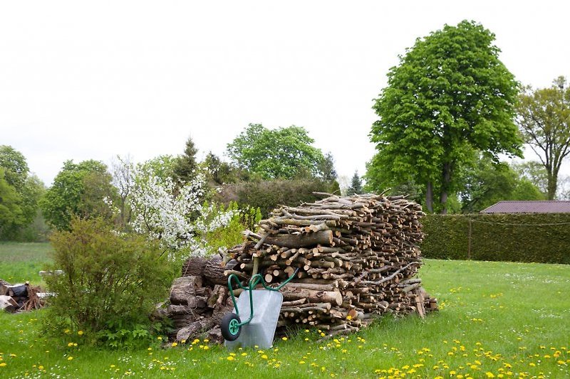 Wood supplies for making fire.
