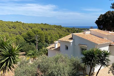 Villa Pesol, view on sea and forest