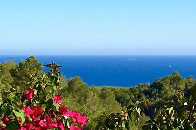 Villa Mimosa, zicht op zee en bos