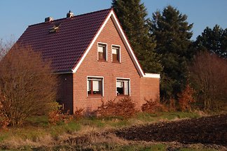 Ferienhaus Rhaude