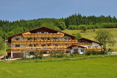 Landhaus Wildschütz - Ferienwohnung
