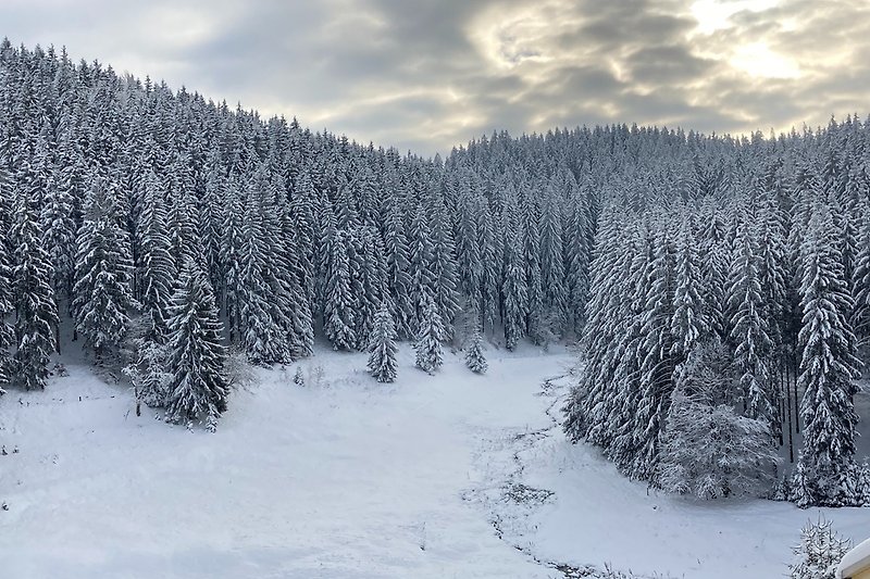 Taubachtal im Winter