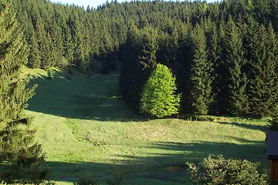 Ferienhaus Sonnenblick