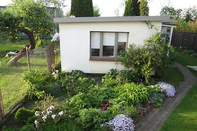 Ferienhaus Fliederbusch