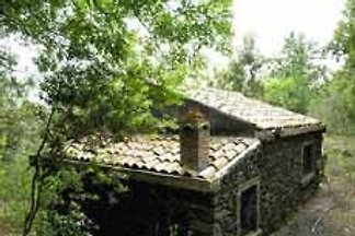 Chalet in den Wäldern des Ätna