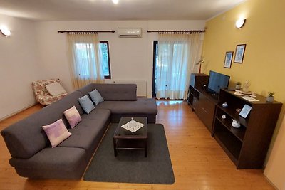 Apartment Drenovica A1