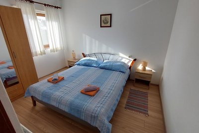 Apartment Drenovica A1