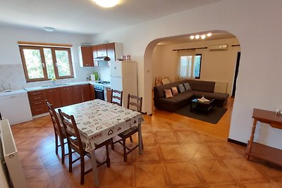 Apartment Drenovica A1