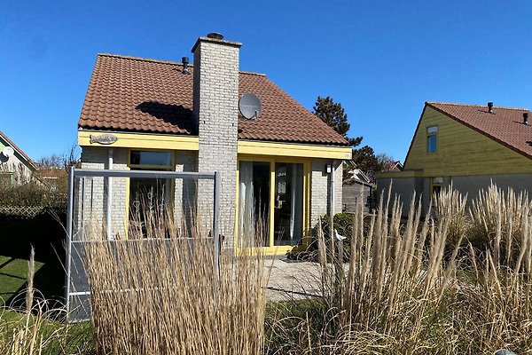 Haus Albatros Strandslag 306 in Julianadorp aan Zee Herr