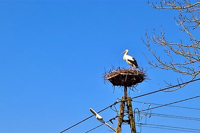 AZALLA- con vista sul mare