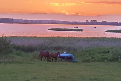 AZALLA im OG, Wasserblick und SAUNA