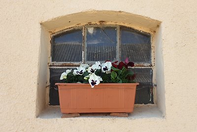 AZALLA mit Wasserblick, EG, SAUNA