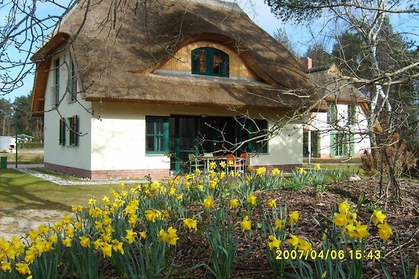 Ferienhaus Glowe