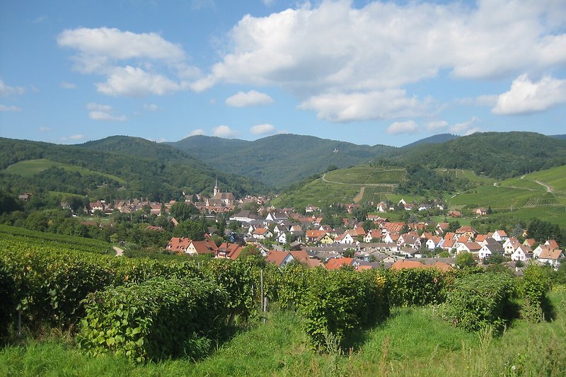 Schönes Ferienhaus mit Berglandschaft, grüner Wiese und blauem Himmel.