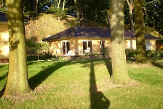 Lenzer Glück am Plauersee