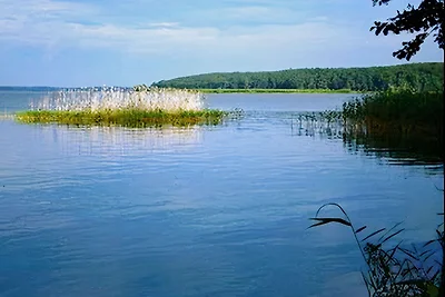 Fortuna Lenzer sul lago Plauer