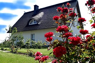 Reethaus Göhren mit Meerblick