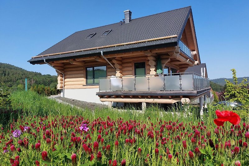 Blockhaus mit Wildblumen