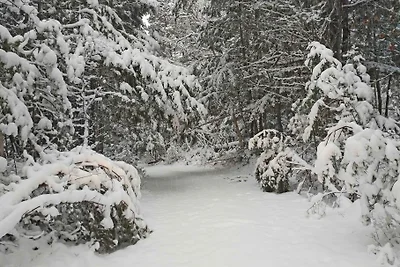Dean Lake Chalet (nieuw gebouw!)