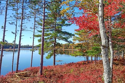 Dean Lake Cottage, Bridgewater