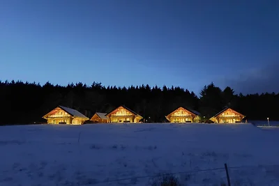 Chalet Steinbach See Village