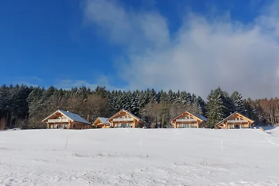 Chalet Steinbach See Village